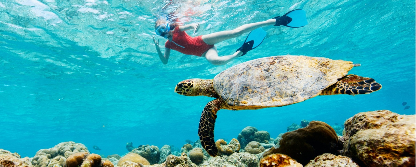 Snorkeling Equipment and Safety